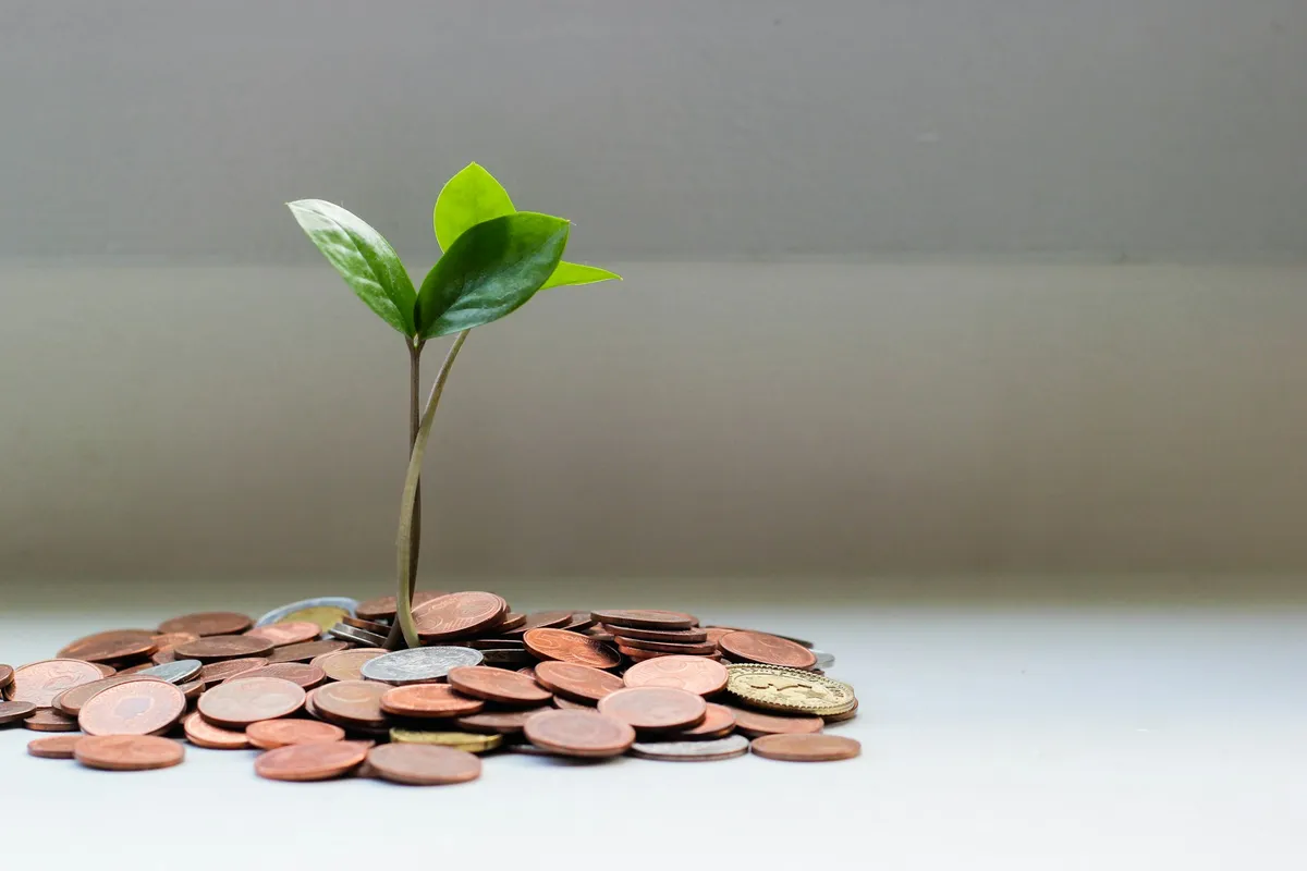 Integrating carbon offsets into your checkout flow in under 30 minutes