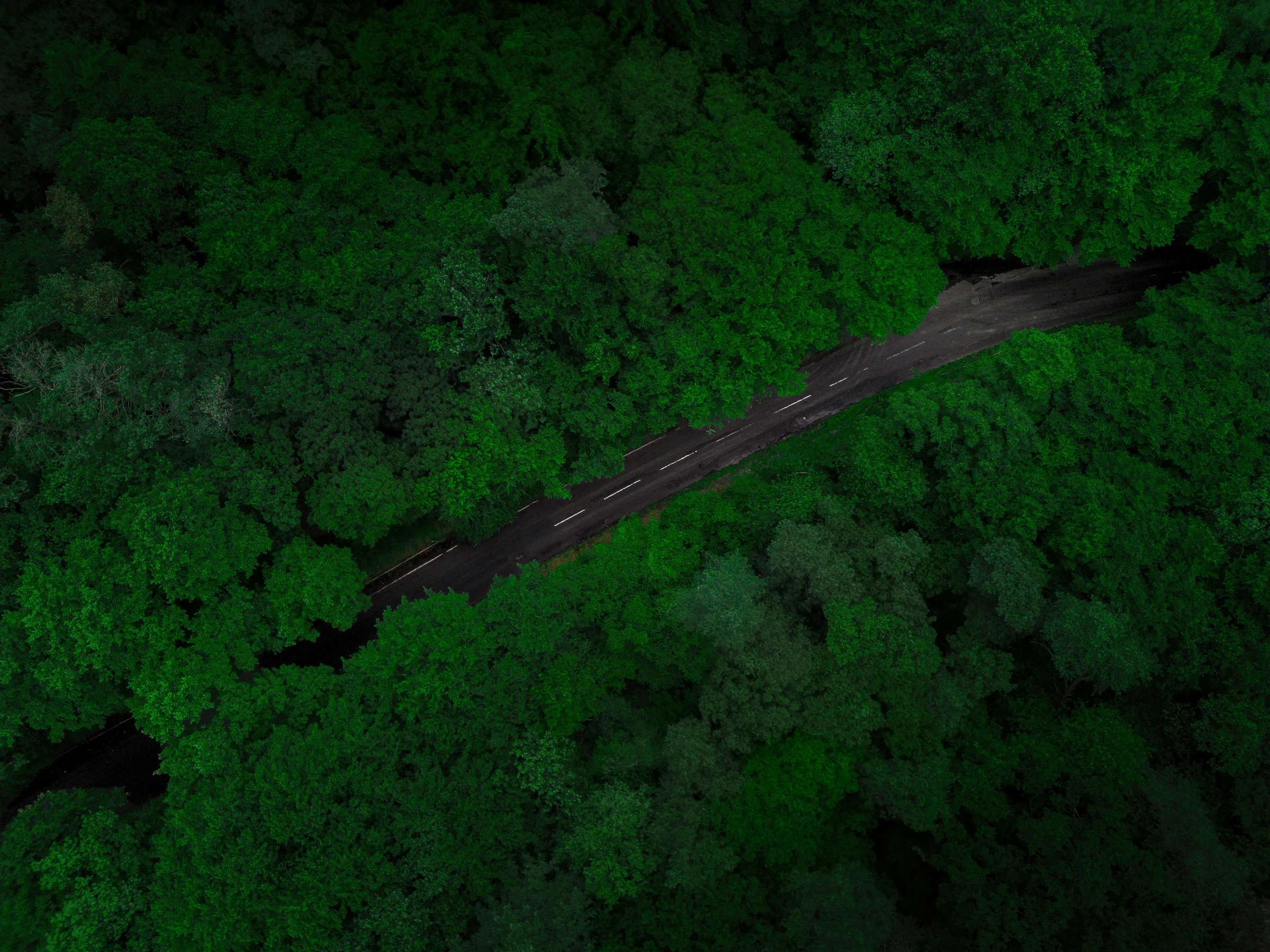 Aerial view of a road through dense forest