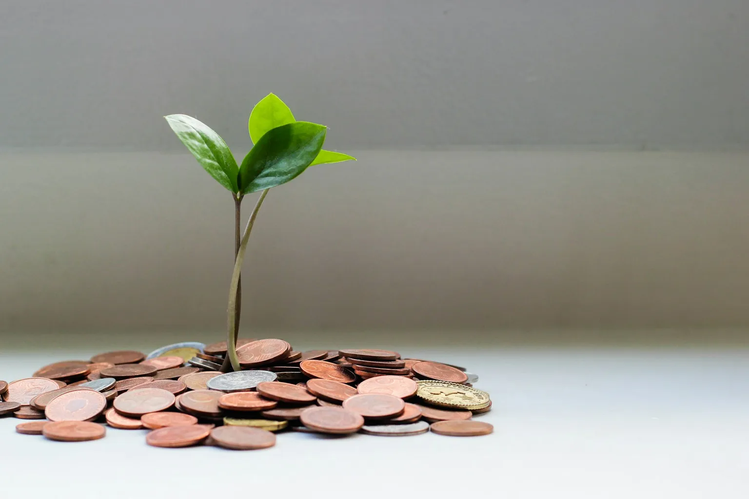 [Image: Funding milestone — green sapling growing from golden coins, studio light, editorial]